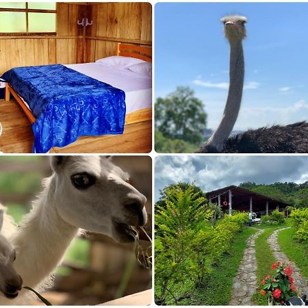 Finca Ecoparaiso Ibagué Dış mekan fotoğraf