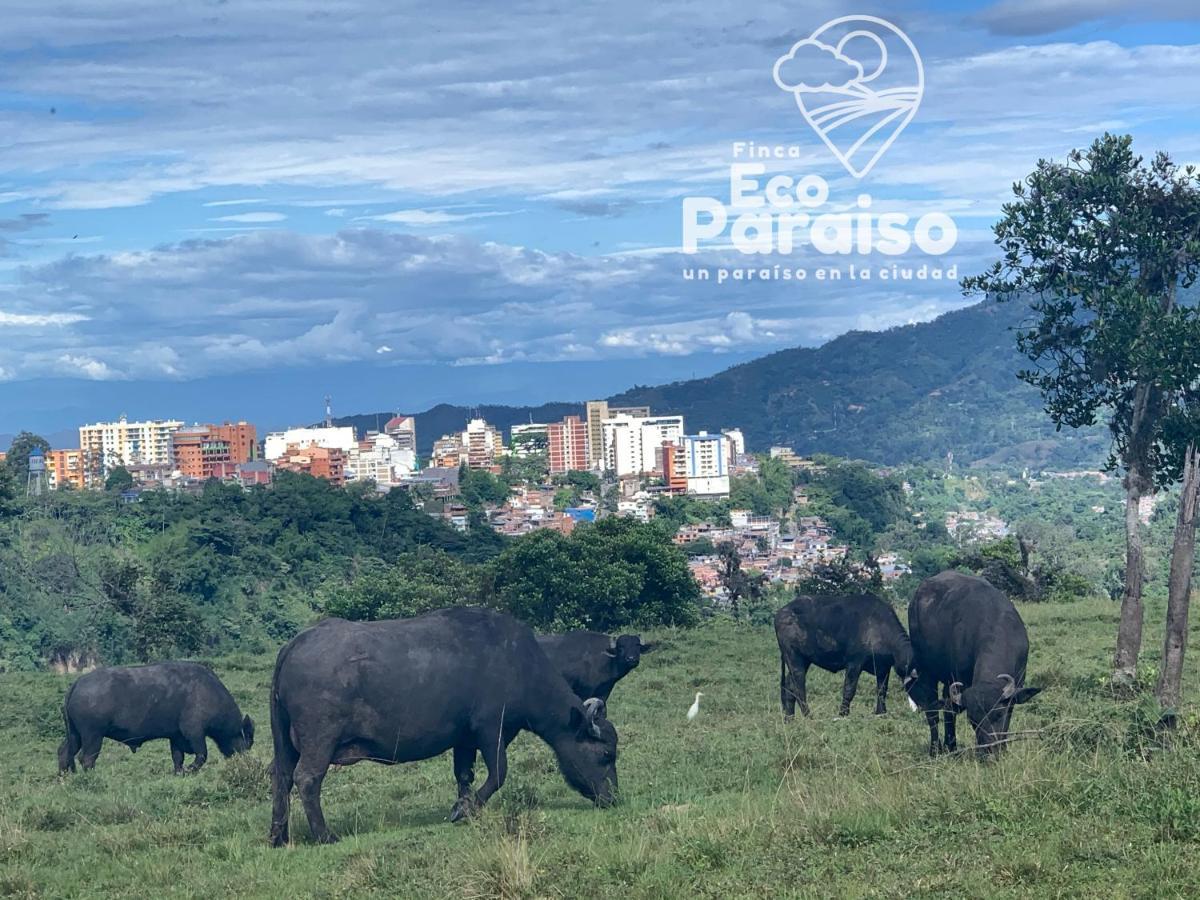 Finca Ecoparaiso Ibagué Dış mekan fotoğraf