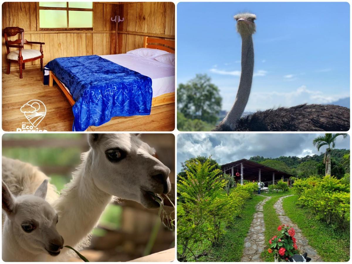 Finca Ecoparaiso Ibagué Dış mekan fotoğraf