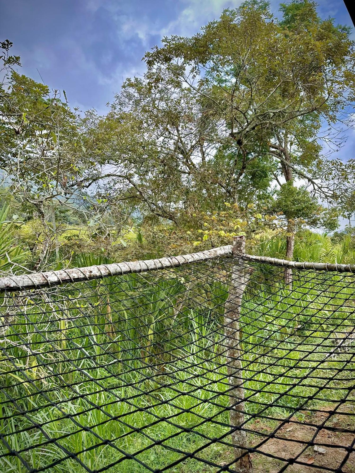Finca Ecoparaiso Ibagué Dış mekan fotoğraf